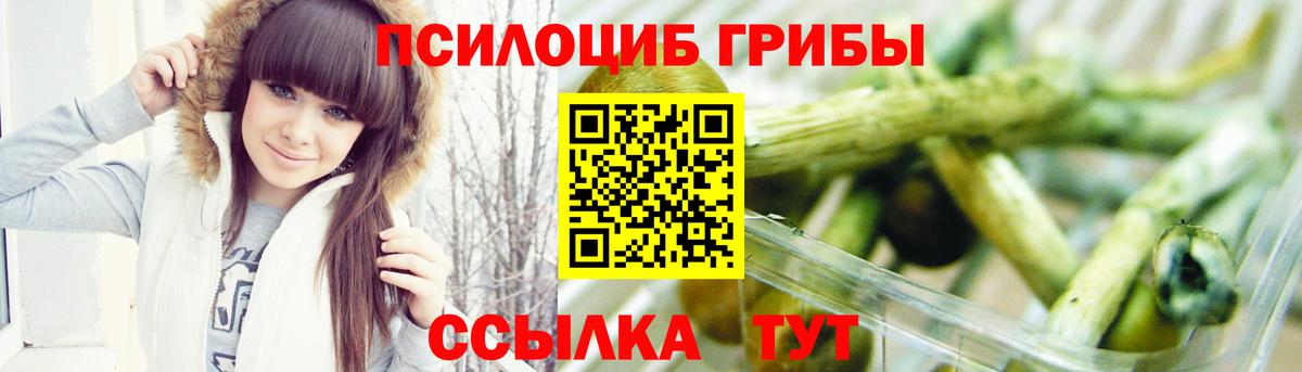 Галлюциногенные грибы Cubensis  Вход с VPN  Скопин 